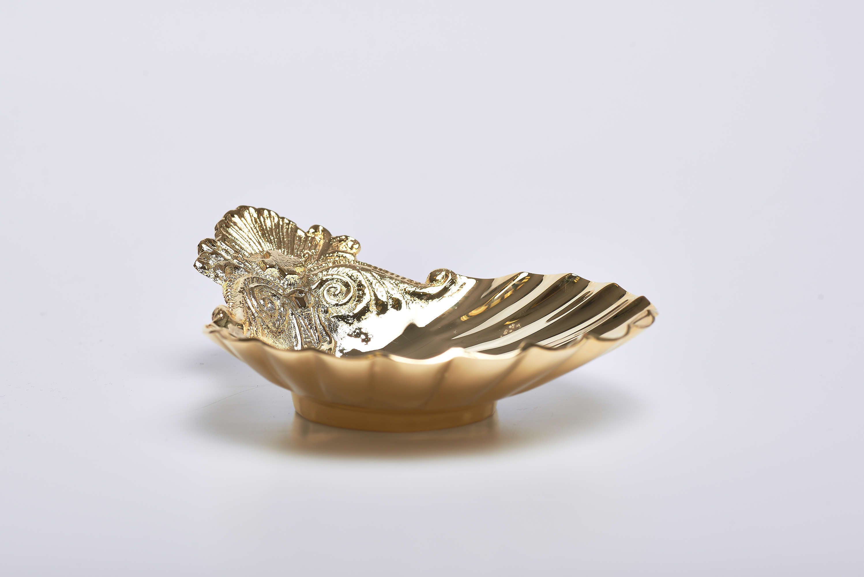 Conchiglia in fusione