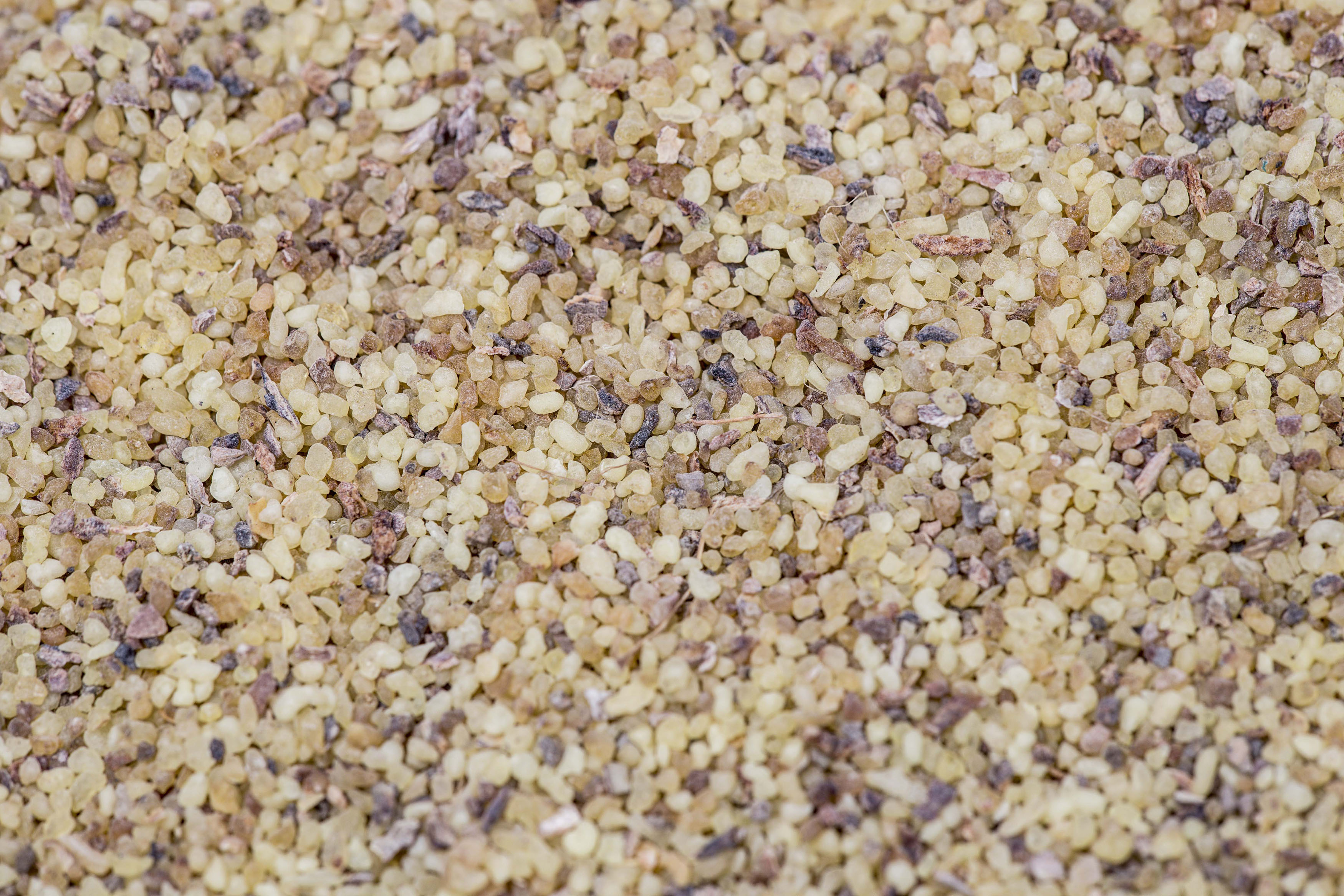 INCENSO ERITREA EXTRA FINE